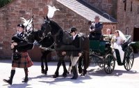 6885382-gretna-green-scotland-may-24th-2009-bride-best-man-and-bridesmaids-in-horse-and-carriage.jpg