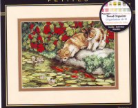 Gold Collection - 65071 - Kitten reflections.JPG