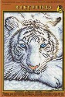 tigre blanc (image).jpg