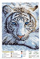 tigre blanc (grille).jpg