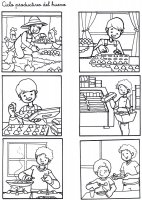 Ciclo productivo del huevo 05.jpg