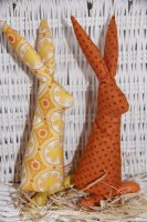 ??????? IMG_2679.jpg