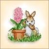 rabbit_hyacinth_Q1Z_thumb.jpg