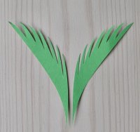 palm-leaves.jpg