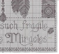 47502442.jpg
