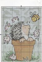 Sherry Hedgehoges (3).jpg