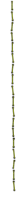 varras.png