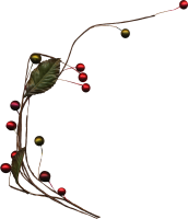 rainbowchristmasw.png