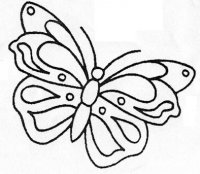 Pillangó 1..jpg