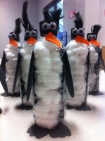 pingvin pet palackból.jpg