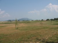 IMG_9635.JPG