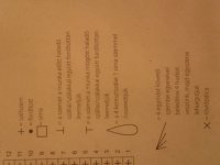 2012-12-03 18.04.44.jpg