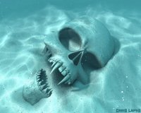 death-skull-ocean-hd-wallpaper.jpg