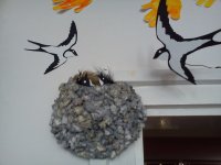 DSC01245.jpg