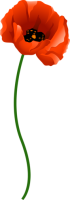 0_99dbb_9cf03744_L.png