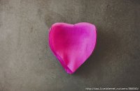 85540908_large_rosa5.jpg