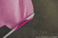 85540911_large_rosa8.jpg