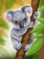 Cutest-Koala.gif