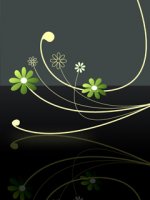 Flower-reflection.jpg