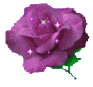 csill rózsa2.gif