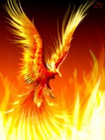 phoenix(4).jpg