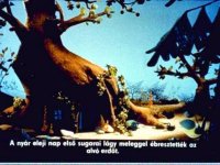 02 Makk Marci Kirándul.jpg