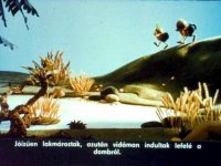 15 Makk Marci Kirándul.jpg