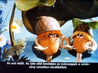 27 Makk Marci Kirándul.jpg