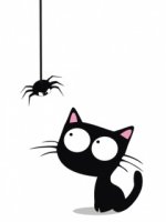 Black_Kitty.jpg