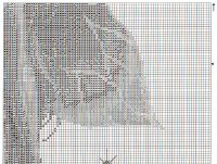 image (012).jpg