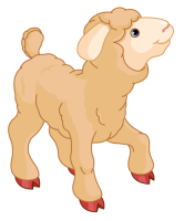 0_d456b_cd725dfe_L.png