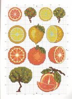 citrusfélék.jpg
