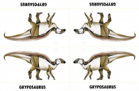 pf_dinosaurs_018.png
