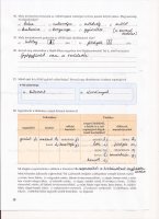 26.old..jpg