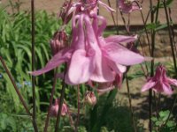 DSCF3695.JPG