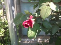 DSCF3689.JPG