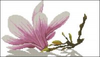 Lanarte_35109-Magnolia_Twig_With_Flower.jpg