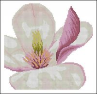 Lanarte_35110-Magnolia_Flower (1).jpg