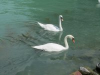 IMG_0584.jpg