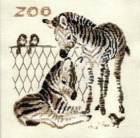 zebra3.jpg