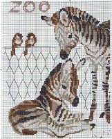 zebra1.jpg