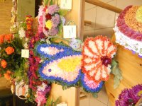 DSCN1101.JPG