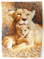 A mother's pride Dimensions.jpg