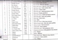 Train Through the Mountains (12).jpg