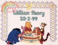 H21 Rock-a-Baby Birth Sampler.jpg