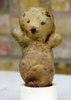 A-bear-shaped-potato-006.jpg