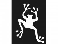 frog-640x480.jpg