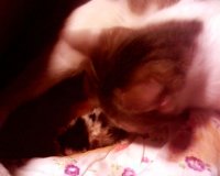 IMG0078A.jpg