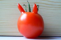 A-tomato-with-horns-007.jpg