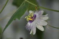 IMG_8926.JPG
